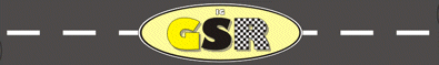 www.gelb-schwarzer-renner.com